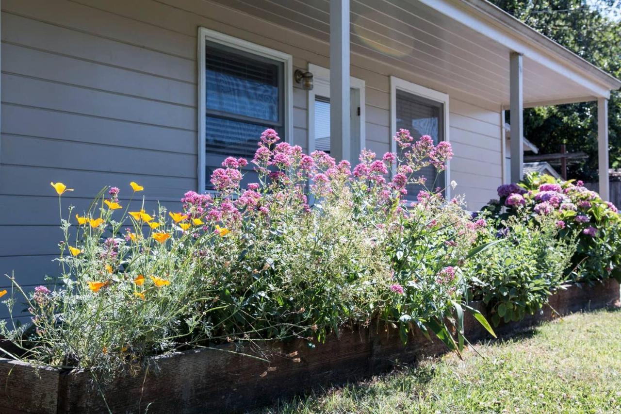 West End Neighborhood Cottage Santa Rosa Luaran gambar